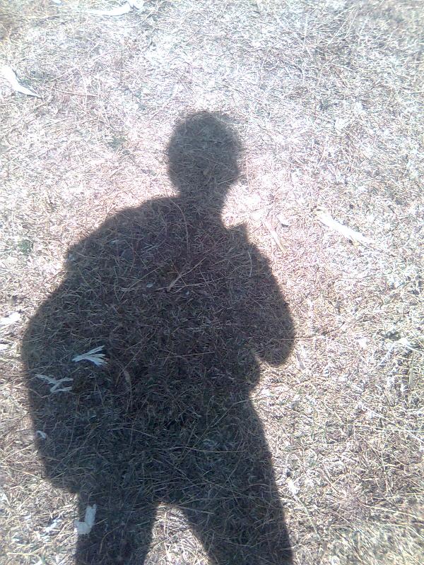 A shadow of a person standing on a grassy surface, with some dried leaves visible.